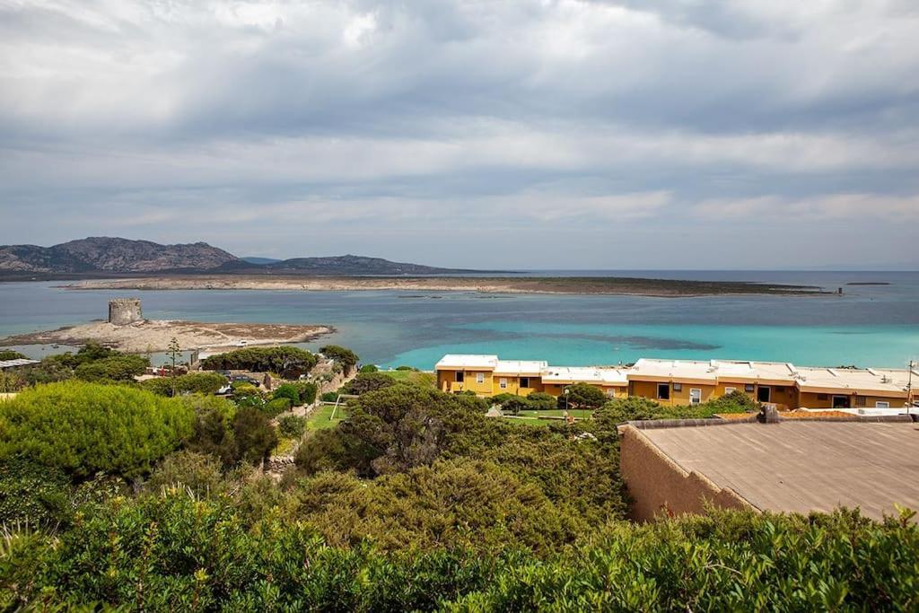 Casa Capo Falcone - Terraced House With Wonderful Sea View - Stintino